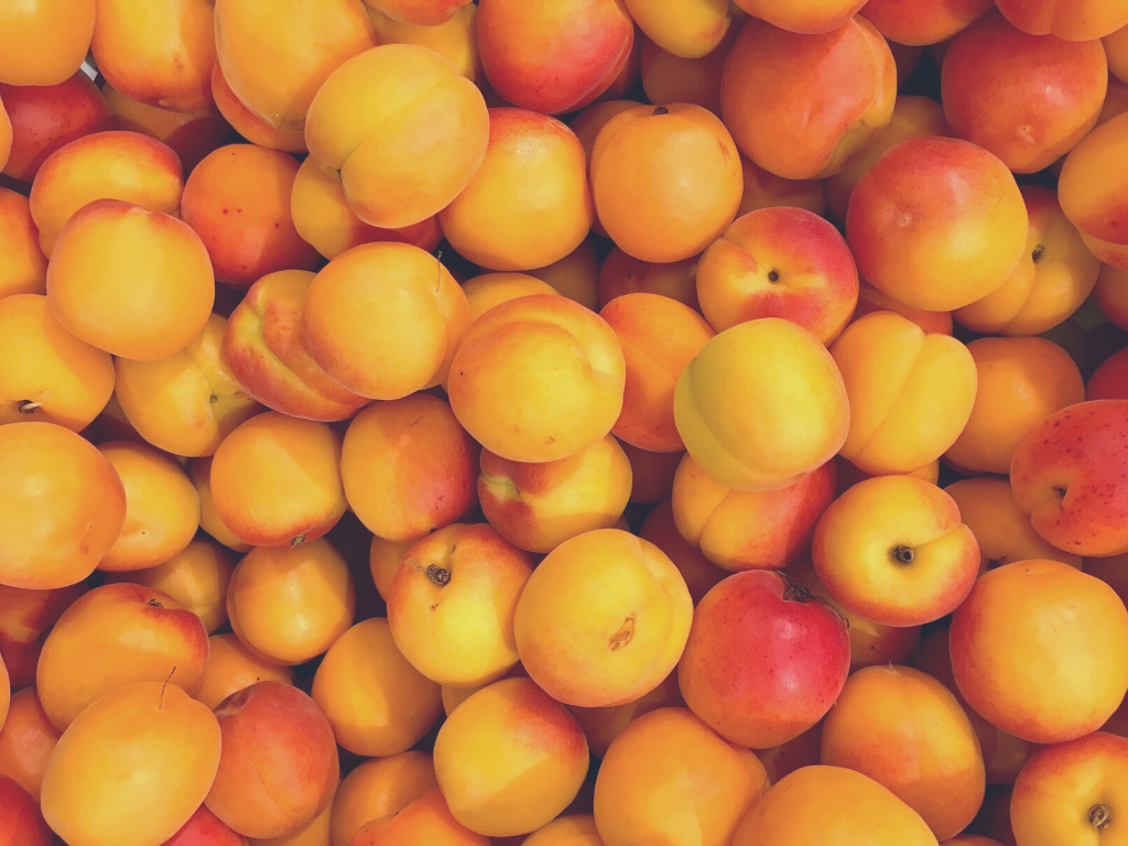 apricots