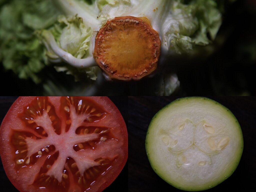 vegan documentaries